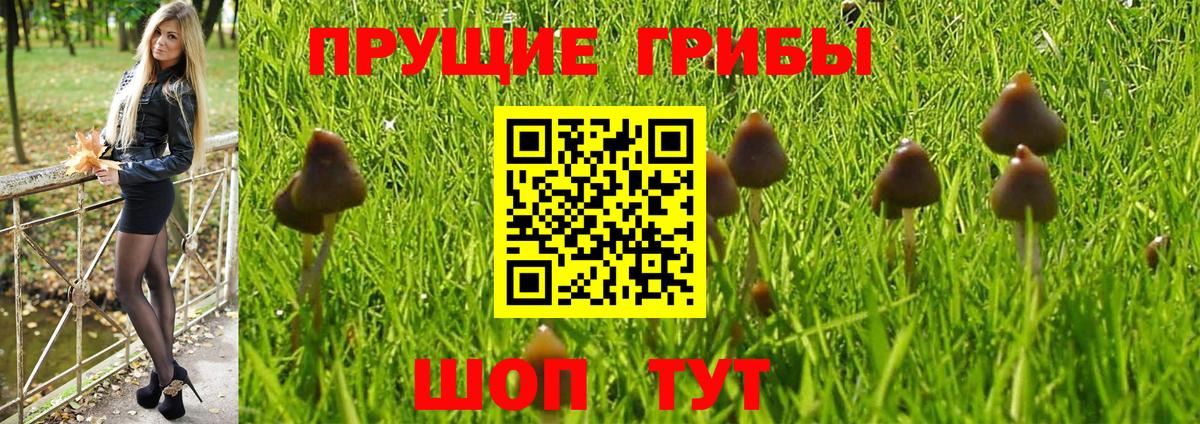 Галлюциногенные грибы Magic Shrooms  Галлюциногенные грибы Psilocybe  Гусь-Хрустальный  Вход с VPN 